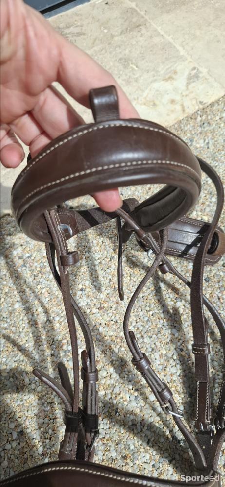 Equitation - Filet taille poney - photo 4