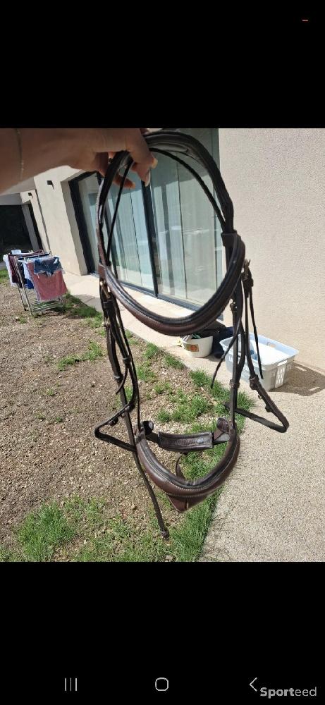 Equitation - Filet havane taille cheval - photo 2