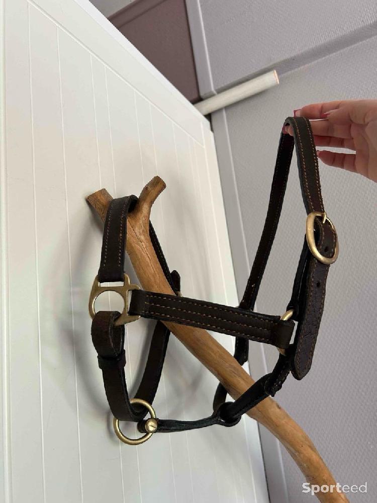 Equitation - Licol en cuir - photo 2
