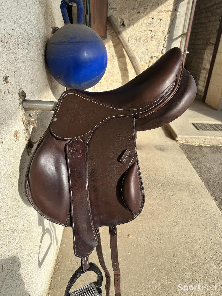 Equitation - Selle Boekelo 17.5 novembre 2023 - photo 1