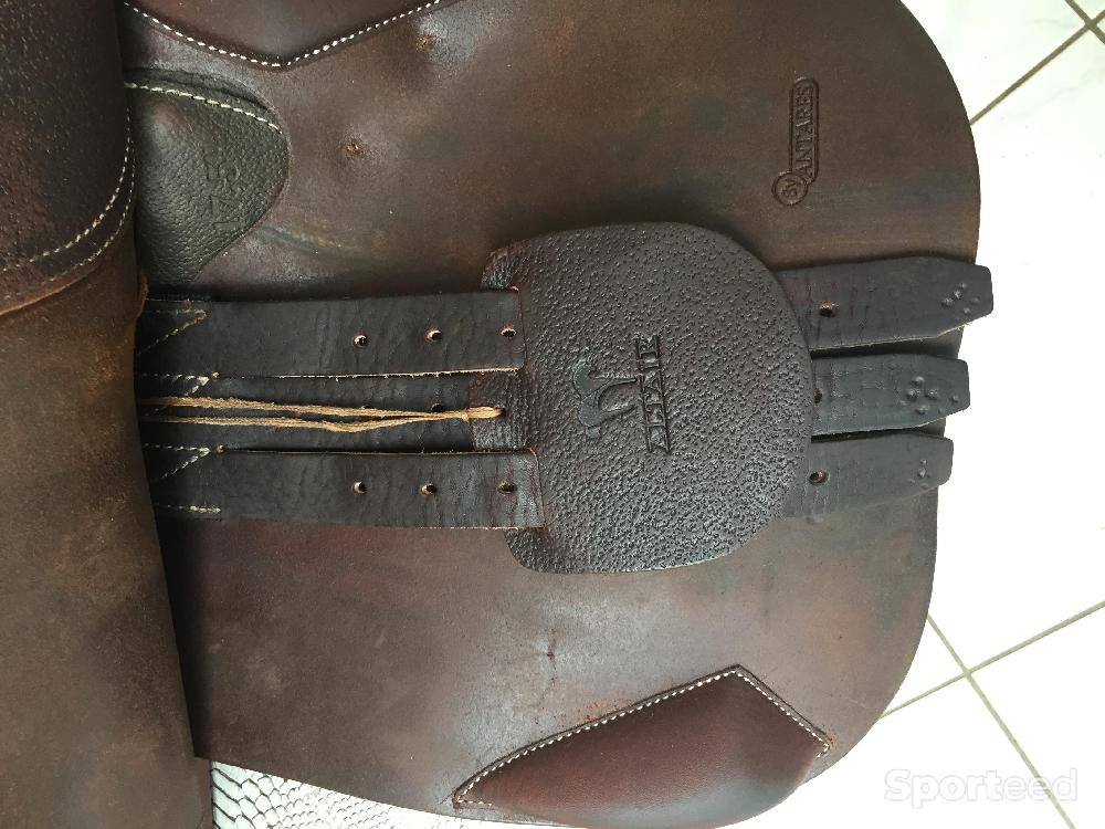 Equitation - Selle Antarèse - photo 1