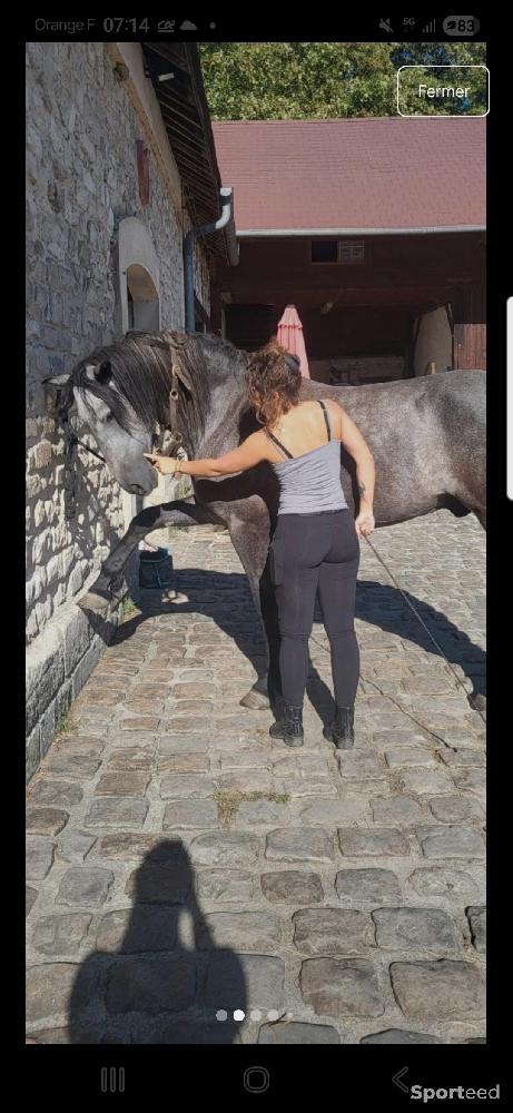 Equitation - Leggin equitation East - photo 3
