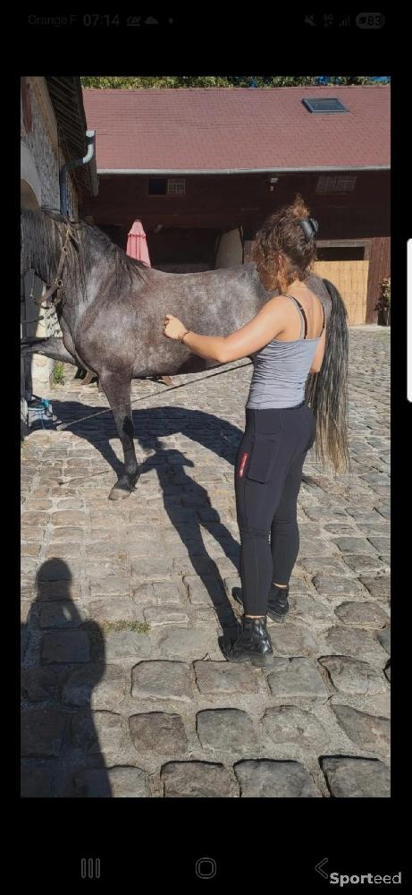 Equitation - Leggin equitation East - photo 4