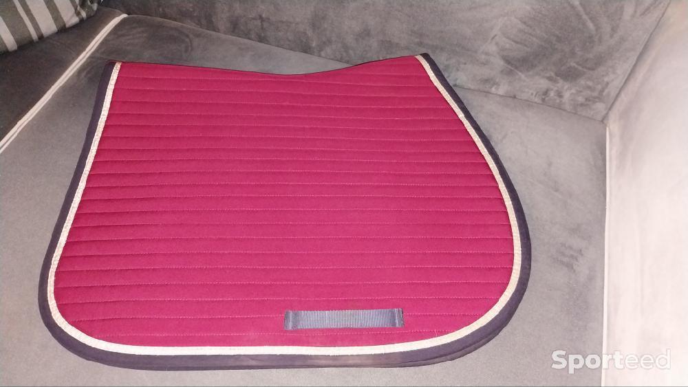 Equitation - Tapis Harcour  - photo 4