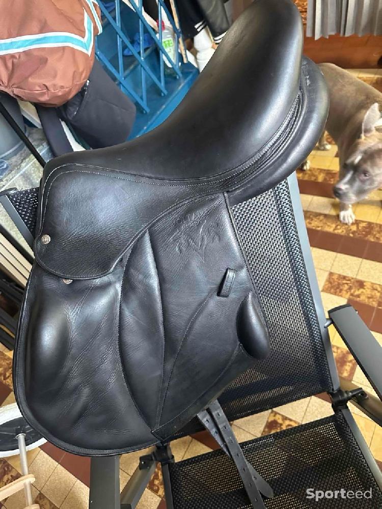 Equitation - Selle voltaire  - photo 1
