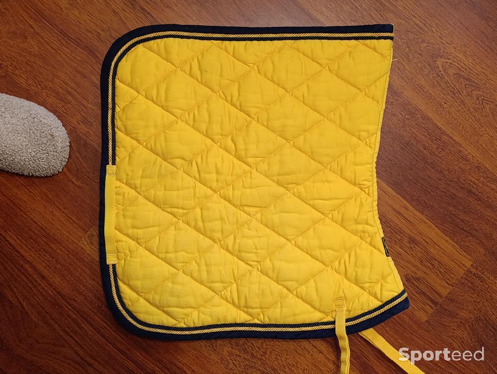 Equitation - Tapis dressage BR + bandes  - photo 2