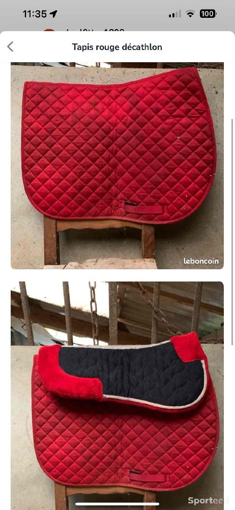 Equitation - Tapis d’équitation  - photo 1