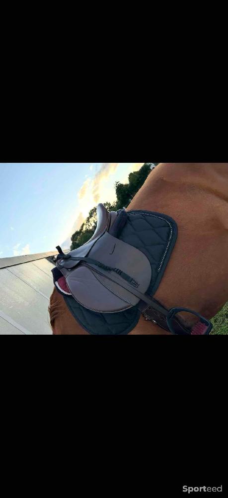 Equitation - Selle 17,5 cuir - photo 2