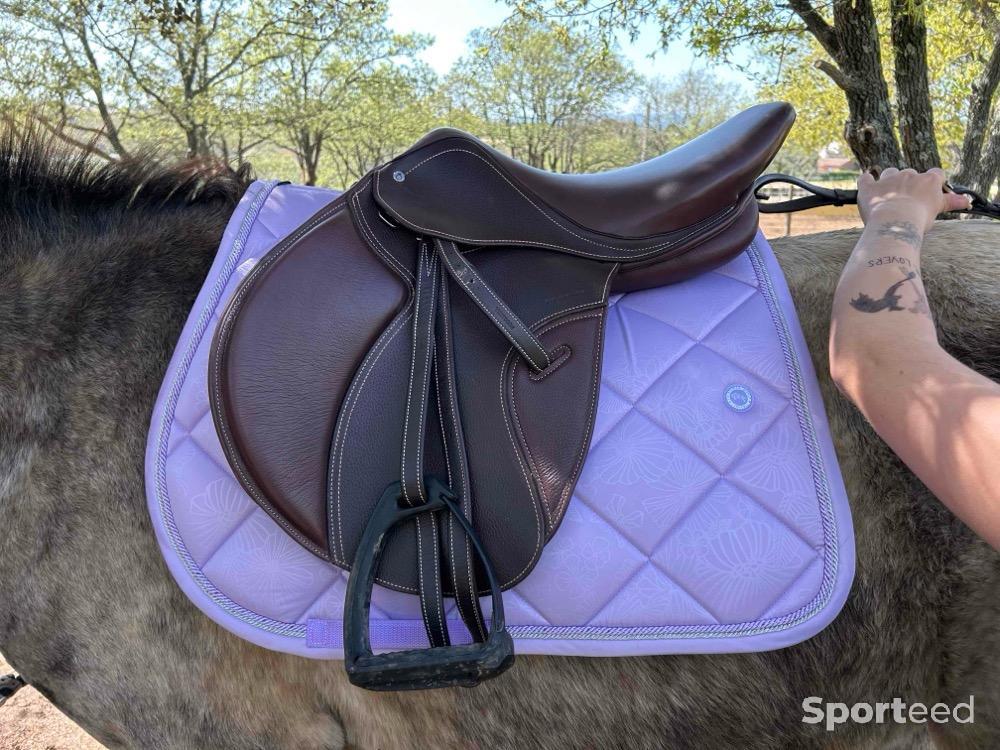 Equitation - Selle  - photo 1