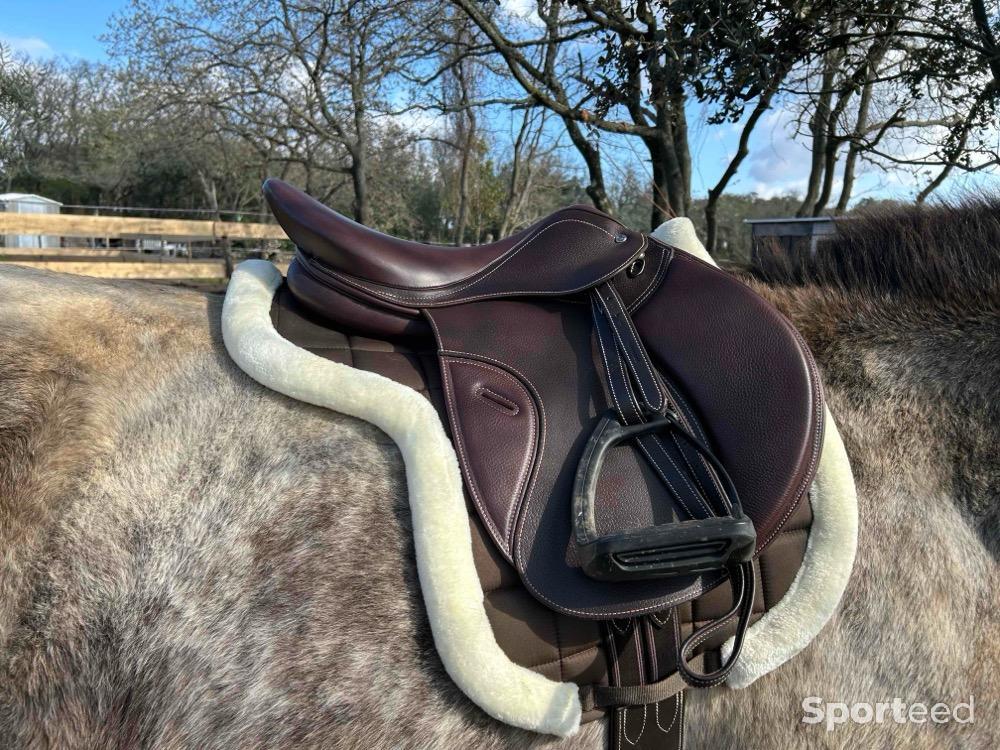 Equitation - Selle  - photo 2