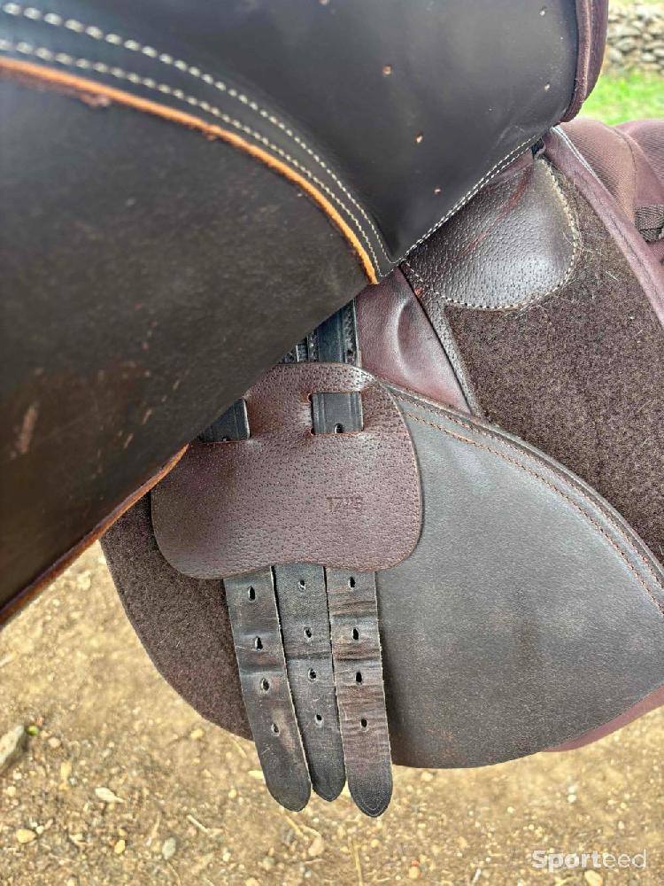 Equitation - Selle  - photo 4