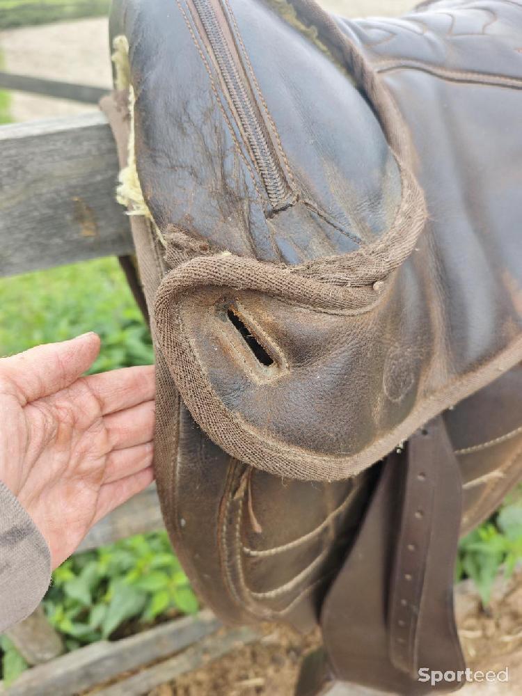 Equitation - Selle sans arçon  - photo 3