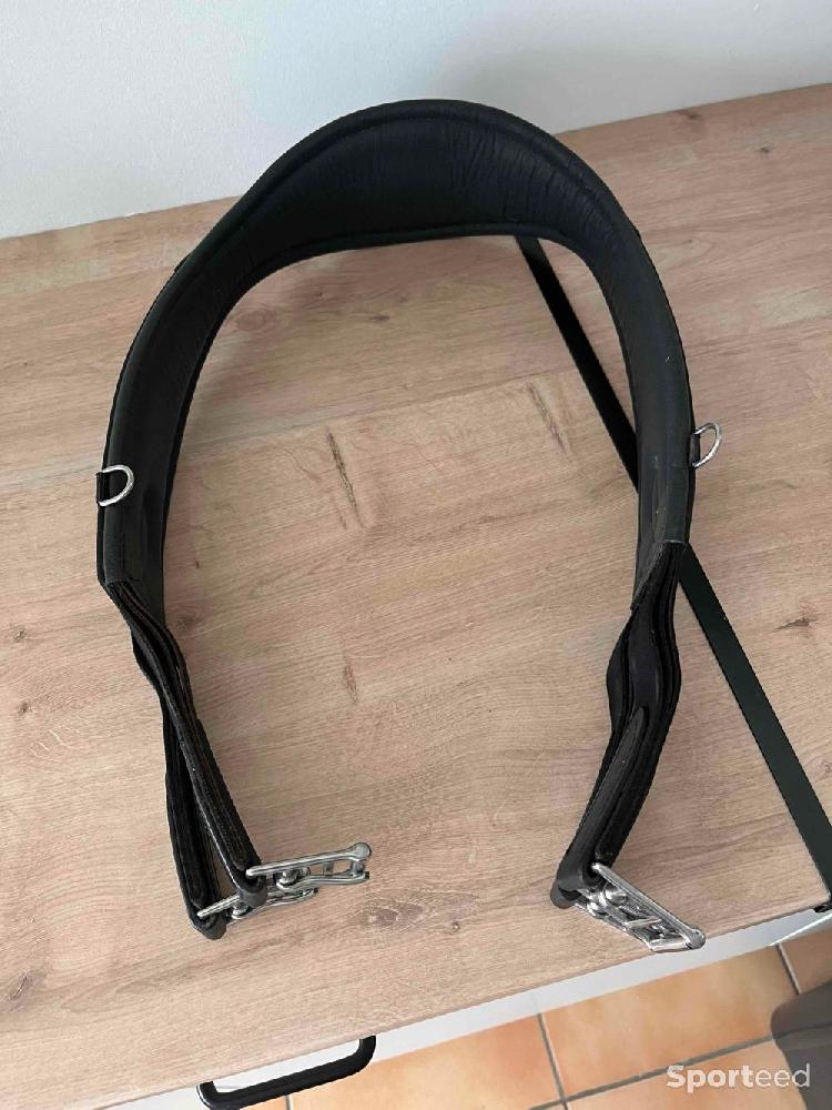 Equitation - Sangle cuir - photo 1