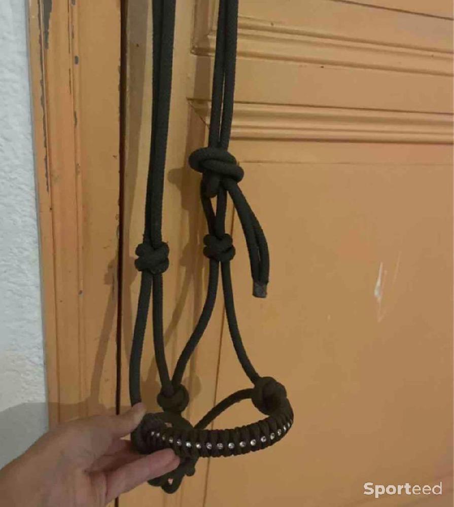 Equitation - Licol éthologique  - photo 2