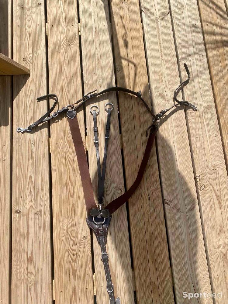 Equitation - Collier de chasse + Martingale COB en cuir havane foncé  - photo 1