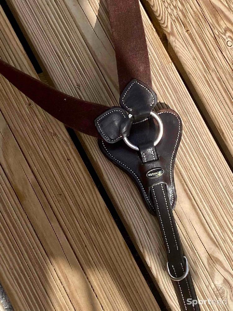 Equitation - Collier de chasse + Martingale COB en cuir havane foncé  - photo 3