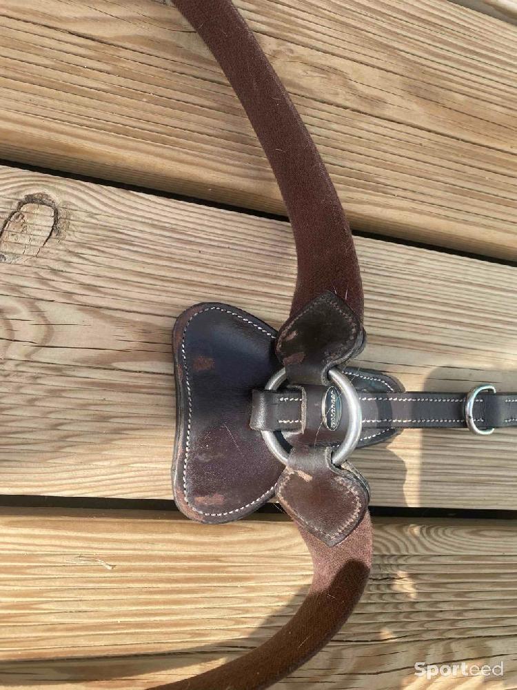 Equitation - Collier de chasse + Martingale COB en cuir havane foncé  - photo 4