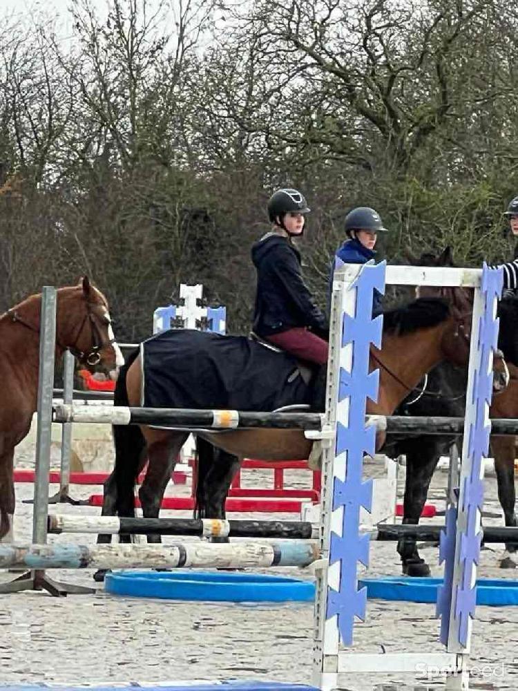 Equitation - Couvre-reins Horseware doublé polaire taille 135 - photo 2