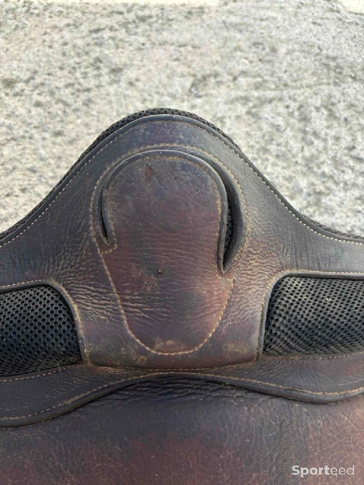 Equitation - Sangle Pénélope  - photo 3