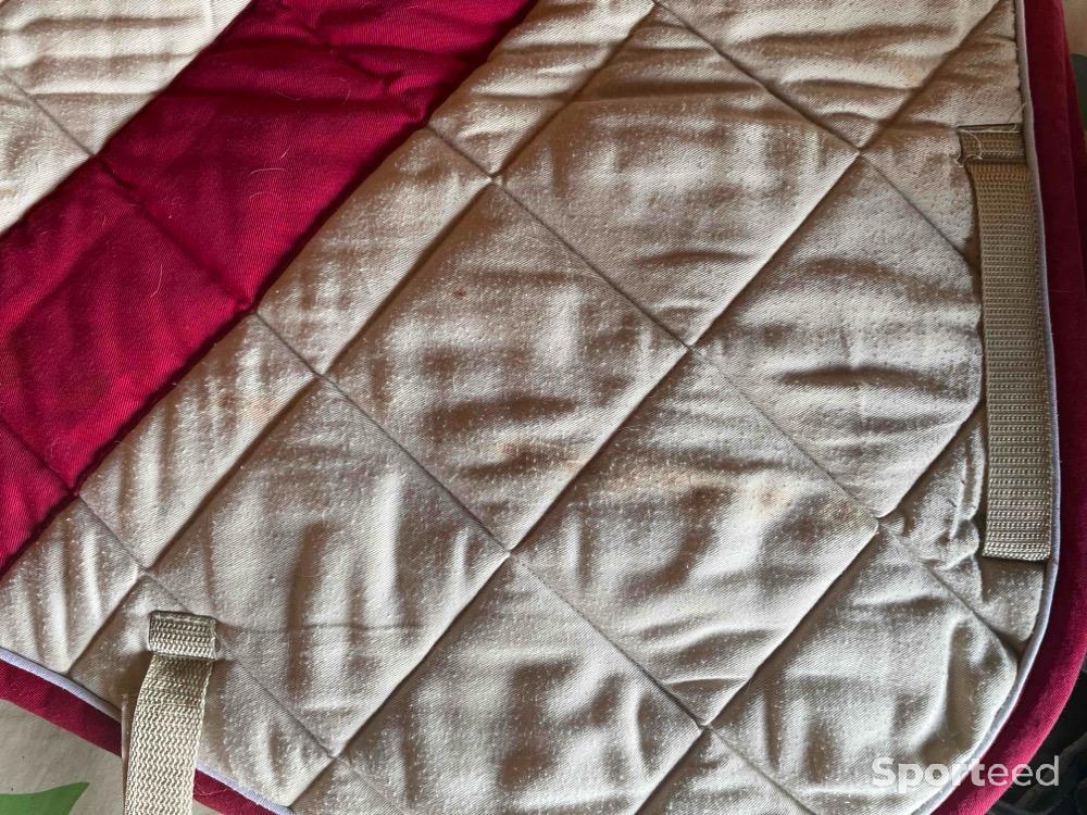 Equitation - Tapis  - photo 5