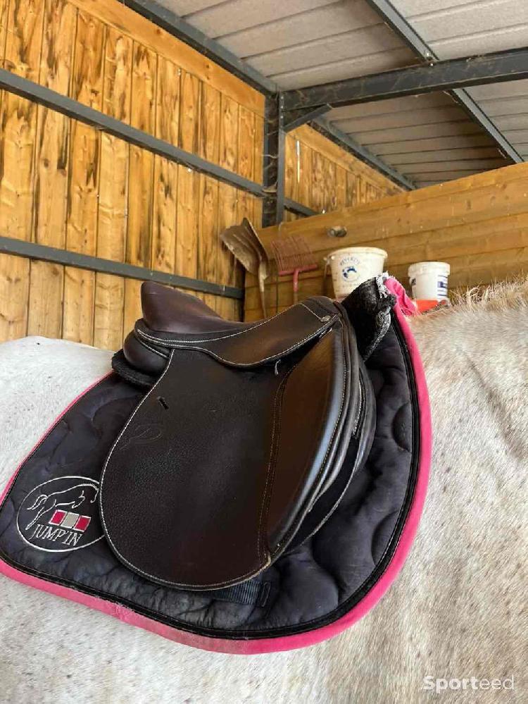 Equitation - Selle mixte Privilège Équitation  - photo 4