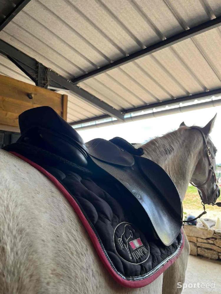 Equitation - Selle mixte Privilège Équitation  - photo 5