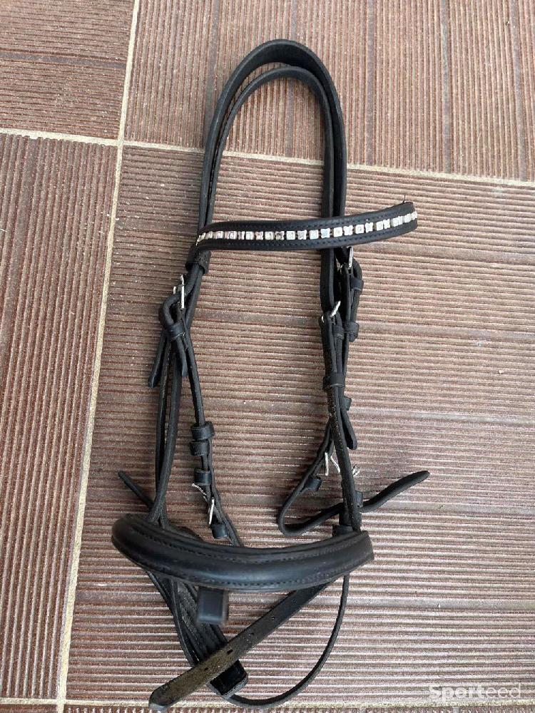 Equitation - Filet cuir - photo 1