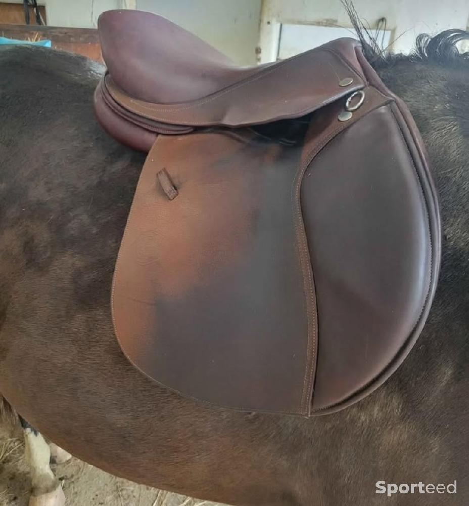 Equitation - Selle mixte  - photo 1