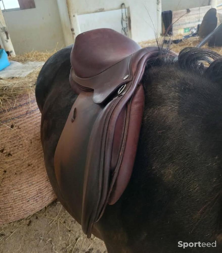Equitation - Selle mixte  - photo 2