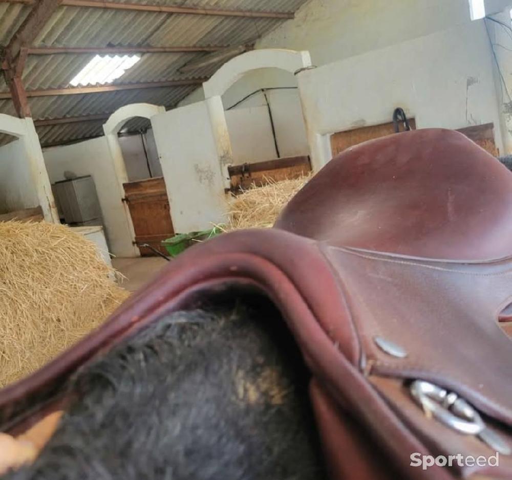Equitation - Selle mixte  - photo 3