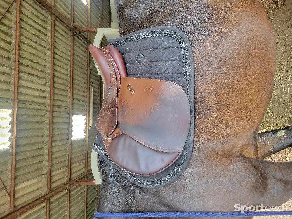 Equitation - Ensemble kentucky - photo 1