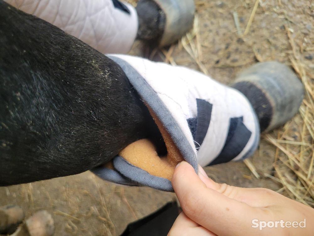 Equitation - Guetre  - photo 2