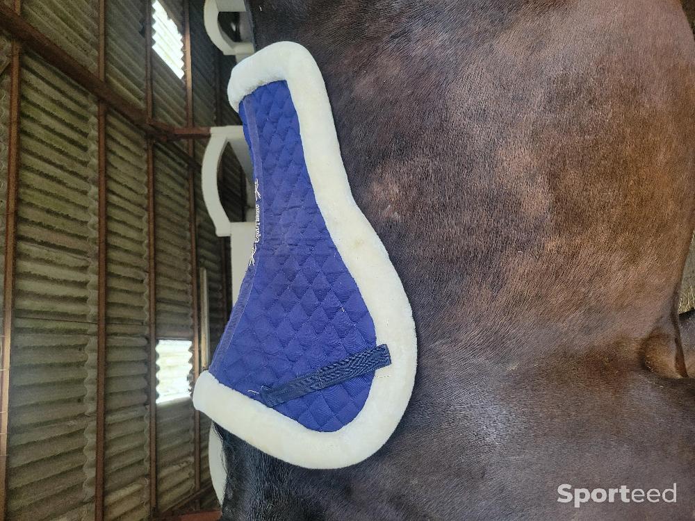 Equitation - Amortisseur  - photo 1