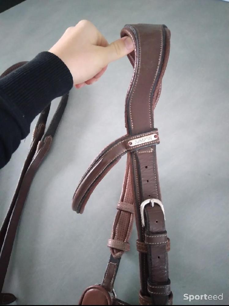 Equitation - Bridon Jump'in sans rênes (taille cob) - photo 4