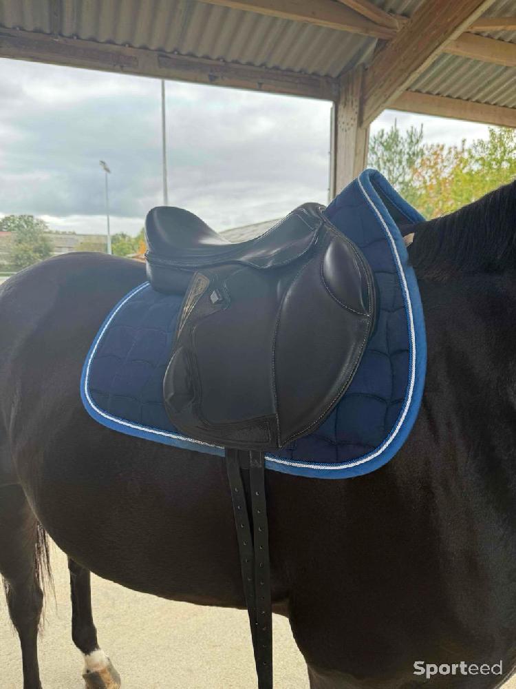 Equitation - Selle monoquartier equiline  - photo 3