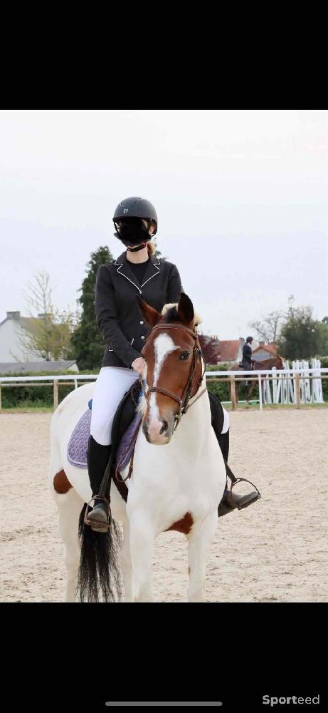 Equitation - veste de concours lami cell - photo 1