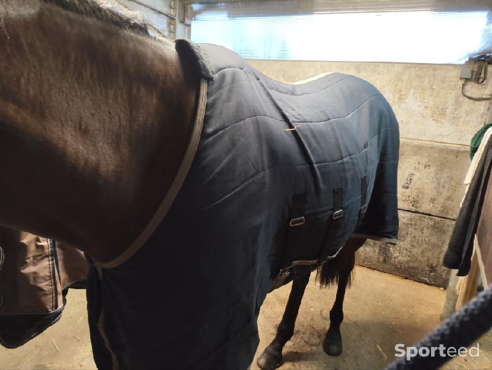 Equitation - Couverture d'écurie PullOver 50gr - photo 1