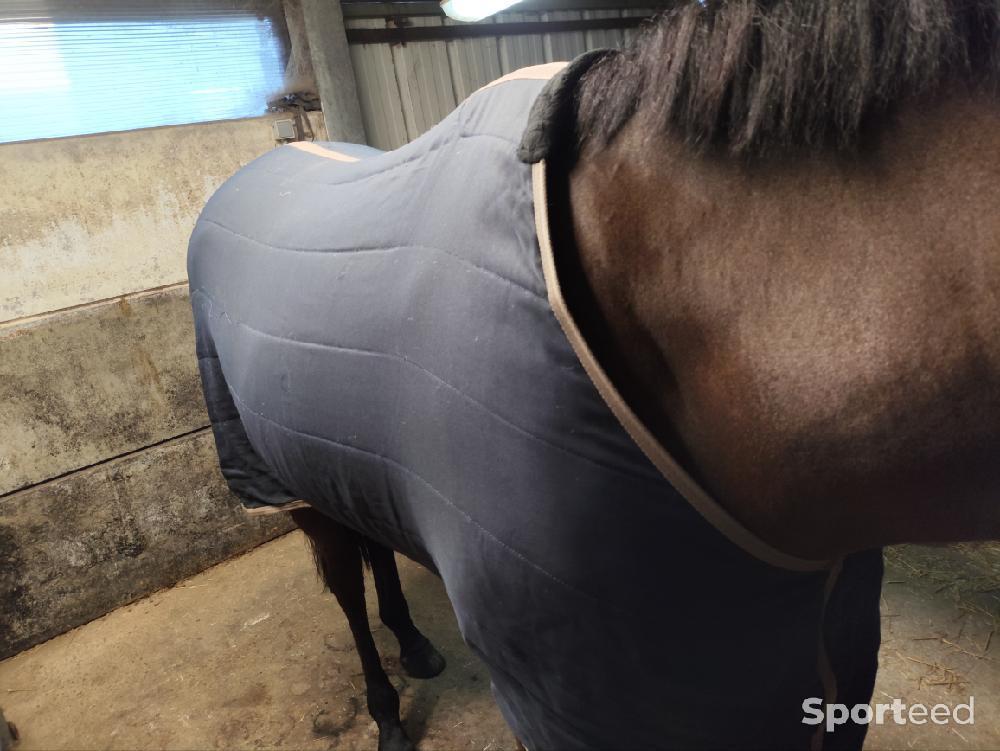 Equitation - Couverture d'écurie PullOver 50gr - photo 3
