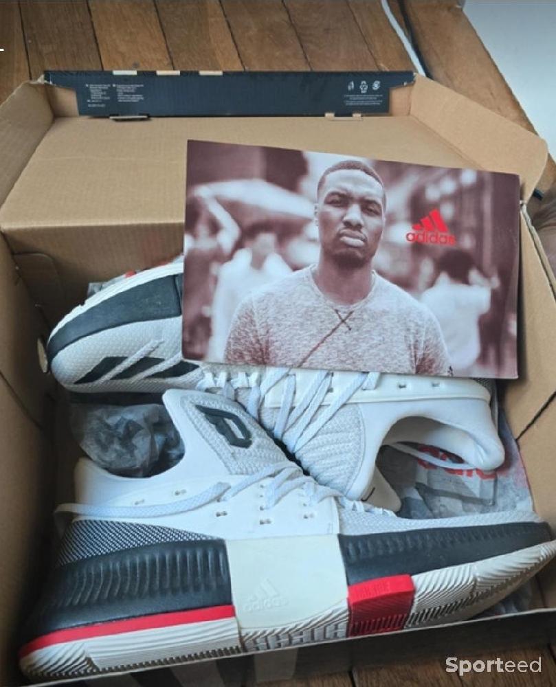 Basket-ball - Chaussure Basket - photo 1