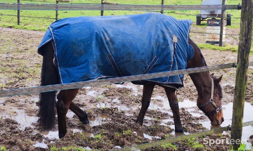 Equitation - Couverture d'extérieur highneck avec doublure polaire Jesco II, 200gr - photo 1