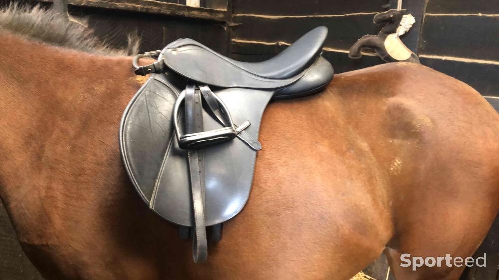 Equitation - Selle wintec 250 mixte 16,5 nue  - photo 1