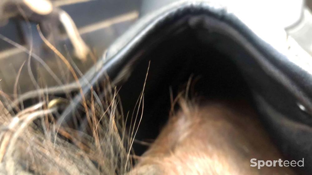 Equitation - Selle wintec 250 mixte 16,5 nue  - photo 2