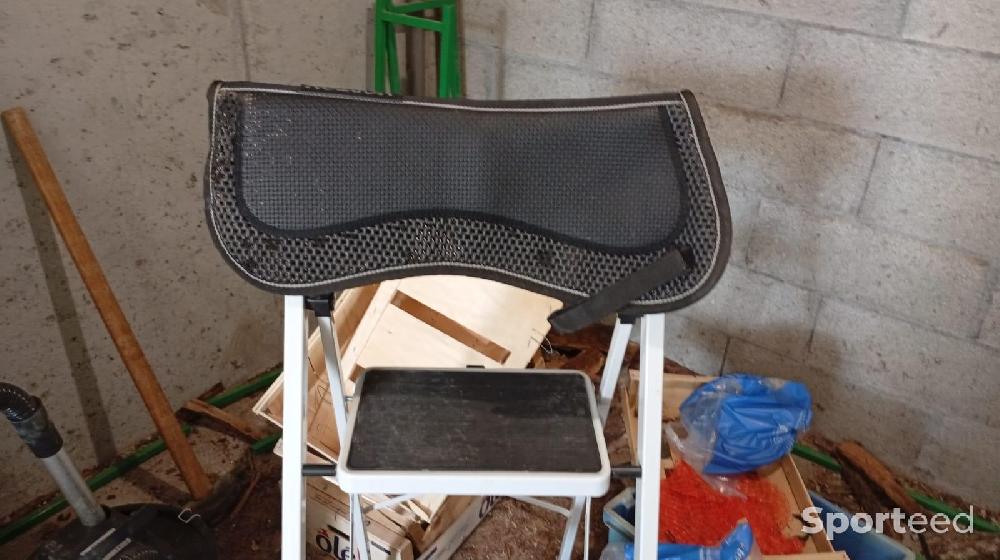 Equitation - Amortisseur taille cheval  - photo 1