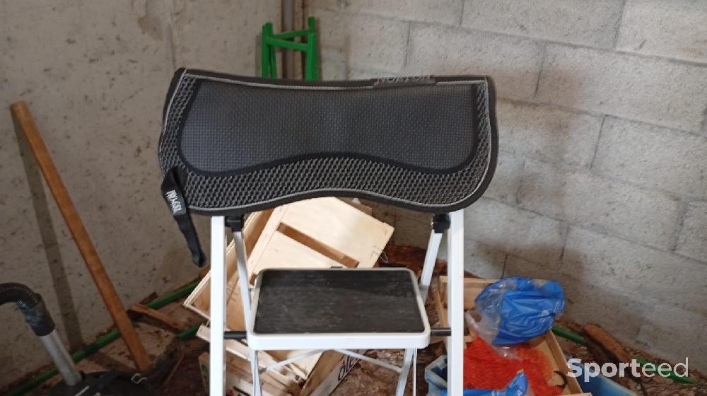 Equitation - Amortisseur taille cheval  - photo 2