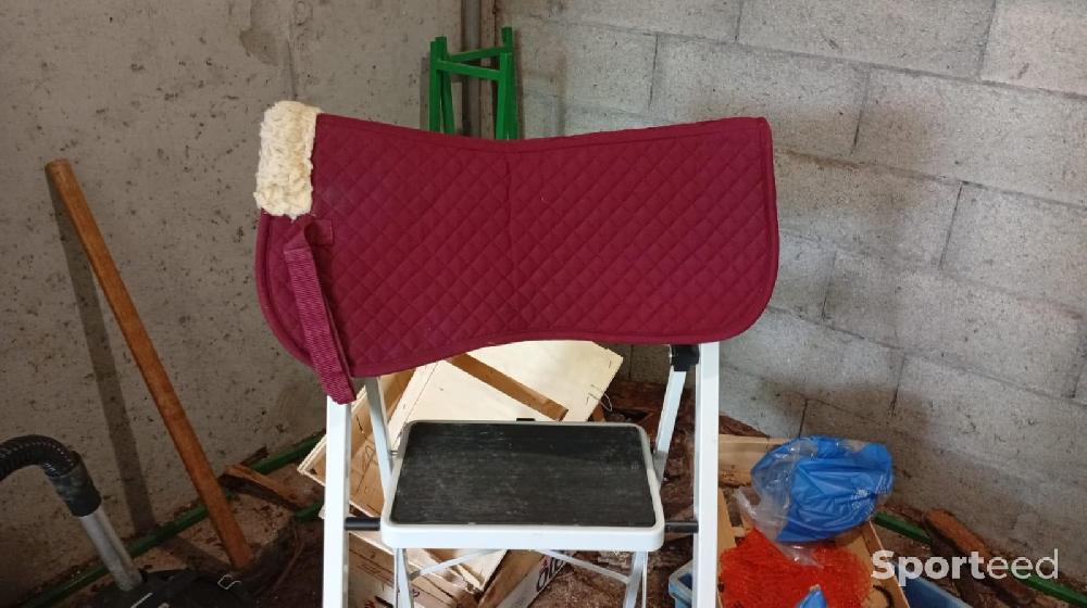 Equitation - Amortisseur taille cheval bordeaux  - photo 1