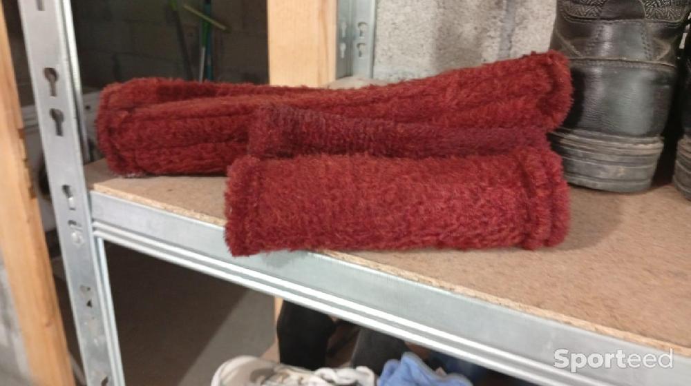 Equitation - Protection pour licol taille cheval rouge foncé - photo 1