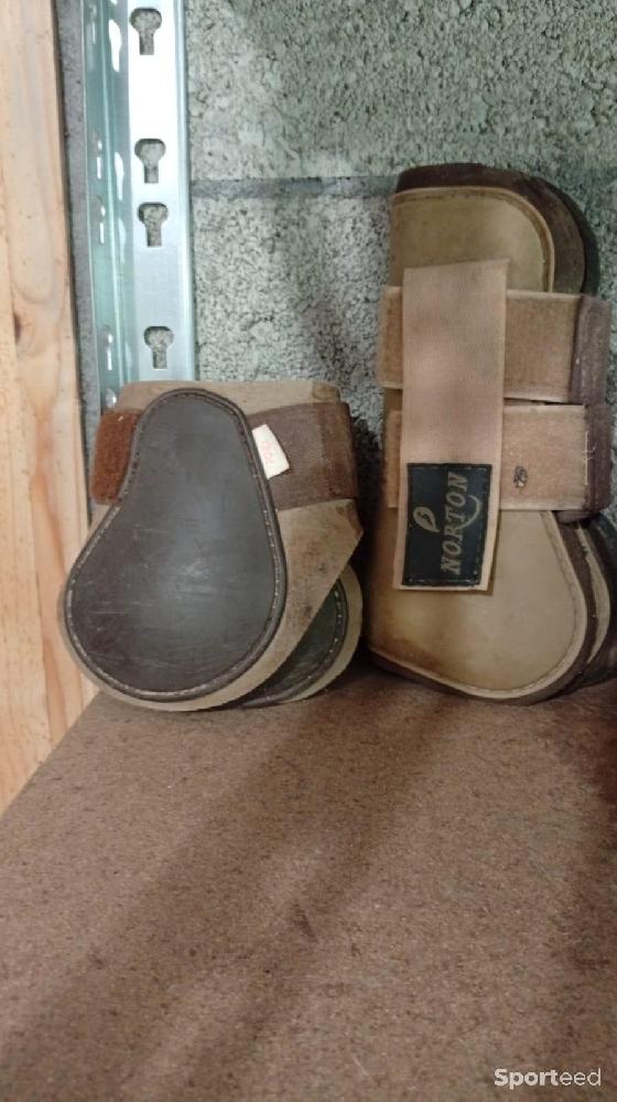 Equitation - Protection taille poney marron clair  - photo 2