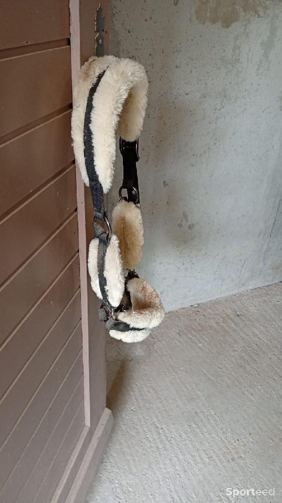 Equitation - Licol taille cheval noir avec moumoute crème  - photo 1