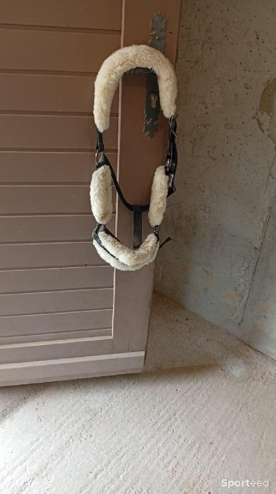 Equitation - Licol taille cheval noir avec moumoute crème  - photo 2