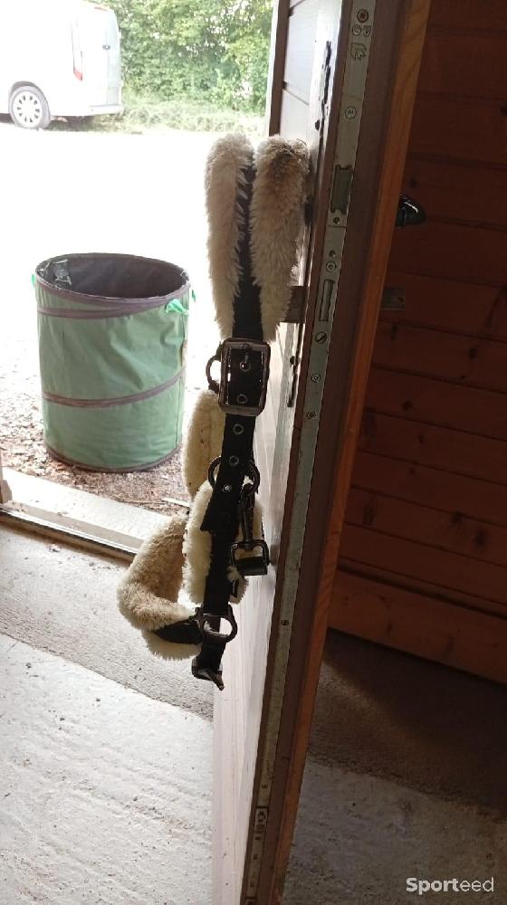 Equitation - Licol taille cheval noir avec moumoute crème  - photo 3